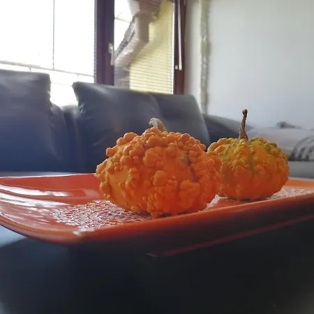 Daire Infinity Blue 2 *